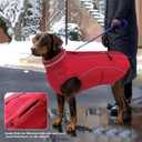 Doglay Waterproof Dog Coat, Reflective Dog Winter Jacket with Pocket & Turtleneck, Warm Puppy Snow Jacket for Small Medium Large Dogs - Red, XL