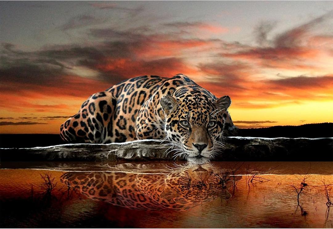 Jigsaw Puzzles 1000 Pieces for Adults - Leopard by The River - Wooden Puzzle - Unique Suitable for Teenagers and Adults (75x50cm)
