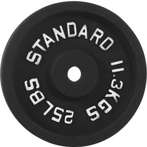 1-Inch Standard Cast Iron Weight Plate for Strength Training & Weightlifting, 25LB (Single)