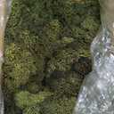 Preserved Reindeer Moss Natural Green DIY Kit Gardenning Art Wall Decor Florist Decor Easter Table Decor Wedding (0.85 lb)