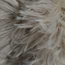 Fluffy Rug Shaggy Area Rug, Beige 4x6 Area Rugs for Bedroom, Small Bedside Rug, Soft Fluffy Shaggy Entryway Throw Rugs for Living Room Bedroom Kids Room Home Decor