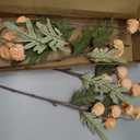 Floroom 5pcs Apricot Peach Faux Silk Mums Artificial Flowers, Bulk Fake Small Mini Chrysanthemums with Stems for DIY Wedding Centerpieces Floral Arrangements Vase Fillers Home Decorations