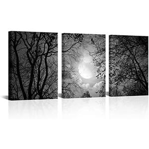 Visual Art Decor Black and White Full Moon Forest Trees Picture Goth Room Decor Canvas Wall Art Framed Artwork Gothic Home Decor Living Room Bedroom Home Office Decoration 3 Piece