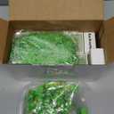 25 Set Bulk Valentines Day Gifts for Coworkers Employee Small Funny Desk Pets Cute Resin Ornaments Valentines Party Favors Adults Positive Emotional Card Box Women Men Office (Frog)