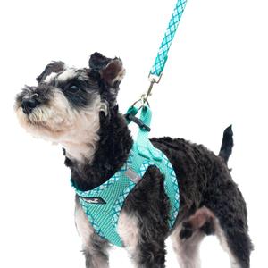 PUPTECK Dog Harness and Leash Set for Small Medium Dogs No Pull Step-in Soft Mesh Puppy Cat Vest Harnesses Reflective at Night, Green M (M(CHEST 16"-18", 11-18 lbs))
