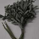SzJias Olive Branches for Vases Faux Olive Branch Fake Olive Tree Branches Olive Stems for Vase(5 Branches)