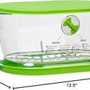 Prep Solutions by Progressive Lettuce Keeper Produce Storage Container, 4.7 Quarts, Green (LKS-06)
