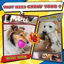 Zeaxuie 12 Pack Long-Lasting Heavy Various Dog Chew Toys Pack for Aggressive Chewers,Includes Dog Rope Toy,Squeaky Toys & Indestructible Chew Bone for Medium,Large & X-Large Breeds Dogs (Colorful)