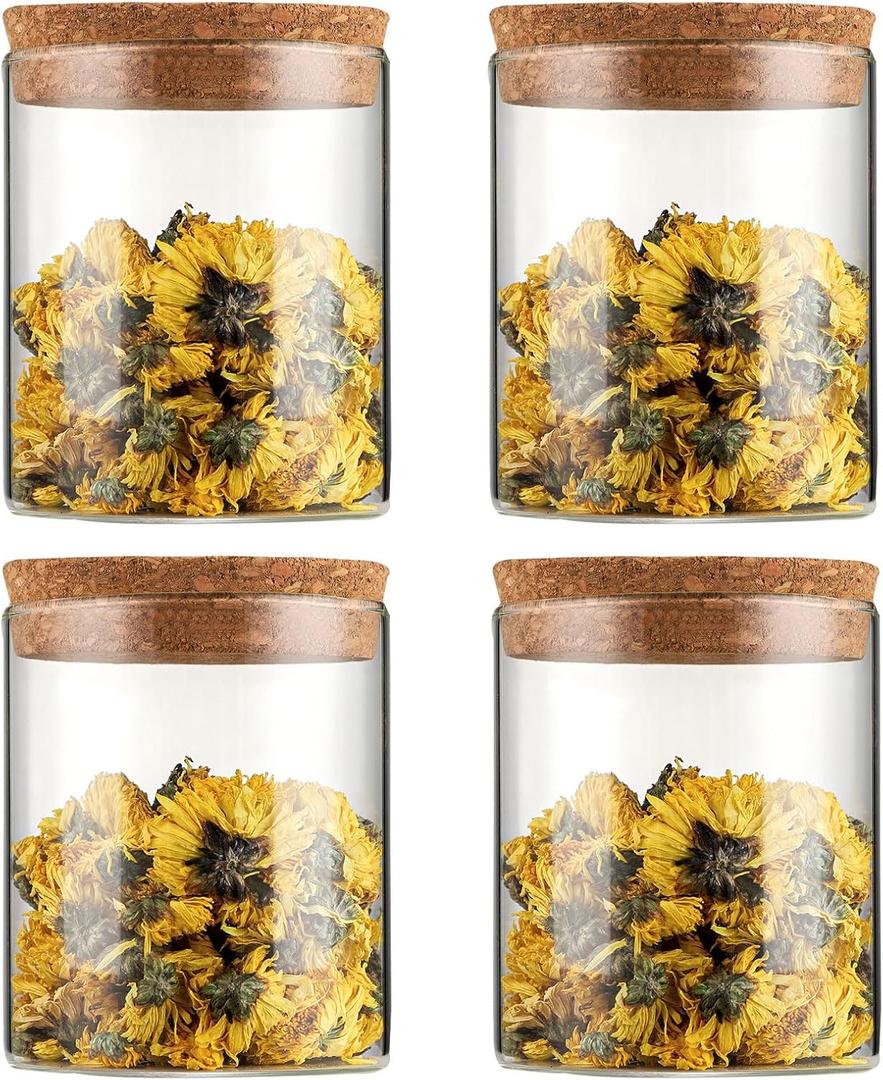WHJY 4 Pack Rustic/Vintage Glass Jar Set - 16oz Airtight Cylindrical Jars with Cork Lids for Sugar, Coffee Bean, Nuts, Candy & More