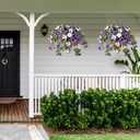 Ammyoo Artificial Fake Flowers Plants for Outdoor Decoration, 2PCS Faux Petunias Silk Flower UV Resistant No Fade for Home Outside Garden Balcony Yard Porch Realistic Indoor Decor (Purple White)