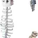 Wearable Dinosaur Skeleton Plush,Realistic 3D Skeleton Design Dinosaur Skull Outfit,Halloween Themed Costume (Children(75cm/30in), Grey)