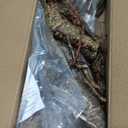 1Pcs 71inch Bendable Artificial Floral Grapevine Garland Fake Realistic Woody Tree Branches Plants Twigs Stems Trunk with Moss for Outdoor Mantel Wall Hanging Garden Halloween Jungle Room Decoration