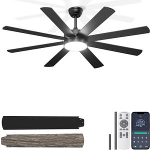 Phylluz 60'' Black Ceiling Fan with Lights for Indoor/Covered Outdoor, Black, 60 Inch, With Light