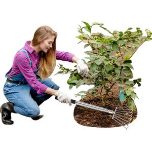 Landscape Rakes for Lawns Leaf Leaves, Small Hand Cultivator, Clam Tool for Cleaning Debris, Weeds, Grass, Pine Needle Remove in Yard, Flower Beds, Herb Rock Garden Care - Stainless Steel
