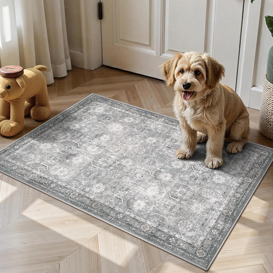 Entryway Rug, Washable Soft Non Slip Low Pile 2x3 Rug, Small Entrance Rugs Indoor for Bedroom, Kitchen, Laundry, Distressed Grey