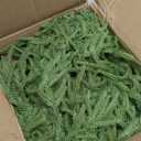 XmasExp Norfolk Pine Garland 9FT Real Touch Realistic Artificial Christmas Garland Decorations for Mantle Windows Indoor Outdoor