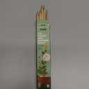 SproutWorld Wood-Cased Pencils | Happy Bee Edition | HB Pre-Sharpened Graphite Plantable Wooden Pencils with Bee-friendly Flower, Herb & Vegetable Seed, Ideal Gift for Drawing, Sketching | 5 pcs
