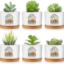 Havawish 6 Pcs Dental Assistant Gift Ceramic Succulent Planter Pots Mini Porcelain Plant Containers Funny Gifts for Dentist Dental Office Home Desk Tooth Decoration, Plants Excluded