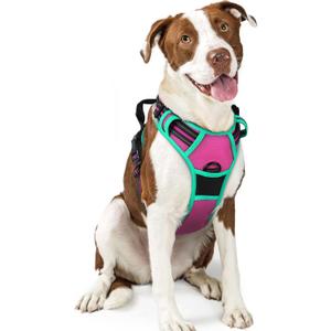 rabbitgoo Dog Harness No Pull with 2 Leash Clips, Adjustable Soft Padded, Reflective Oxford No Choke Pet Vest with Easy Control Handle for Large Dogs, Hot Pink & Turquoise, L