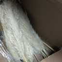 40" inch 40 Stems Natural Pampas Grass Decor Tall, pompas Grass, Tall Pampas Grass for Wedding, Party, Farmhouse, Boho Home Decor