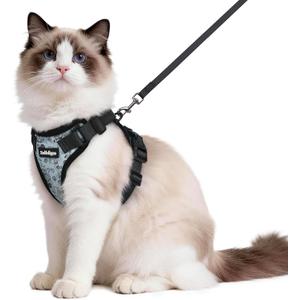 rabbitgoo Cat Harness and Leash for Walking, Escape Proof Soft Adjustable Vest Harnesses for Cats, Easy Control Breathable Reflective Strips Jacket, Doodle Gray,M