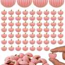 60PCS Mini Autumn Pumpkin Resin Charms, Flatback Mini Charms for Fall Crafts, Thanksgiving Halloween Decor, Breast Cancer Awareness Accessories for Resin DIY Embellishments (Pink)