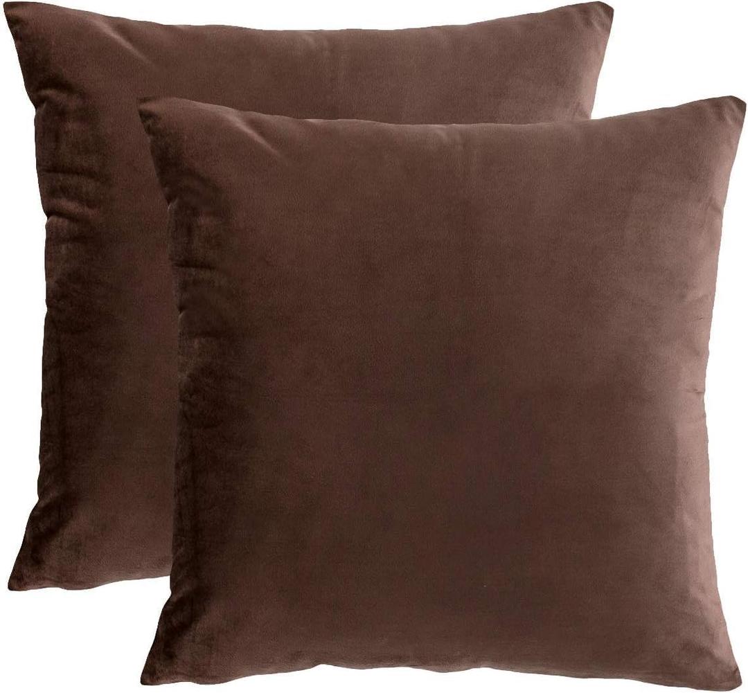 RainRoad Brown Throw Pillows Covers Set of 2 Soft Velvet Decorative Pillow Covers 20x20 Inch for Couch Bed(Brown-Velvet, 20" x 20"(Pack of 2))