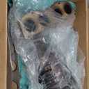 Exhaust Manifold Catalytic Converter Fit for Toyota Camry 2.4L 2002 2003 2004 2005 2006 High Catalytic Performance (EPA Compliant) 25051-0H050, 25051-0H040