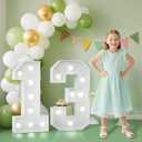 2.3FT 13 Marquee Numbers, 13 Light up Numbers 13th Birthday Decorations for Birthday Party Anniversary Backdrop