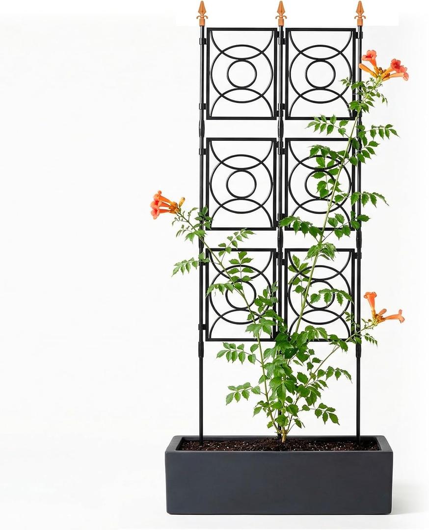 Trellis for Climbing Plants Outdoor, 24 Rifny Tall Garden Trellis Flower Rose Cucumber Trellis for Vines Pea Support, Wall Large Plant Trellis Fence with Plastic Screen Frame, 2 x 6.2 FT