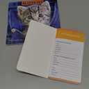 TF Publishing 2026 Kittens Mini Calendar with Monthly Grids for Appointments and Scheduling - Vertical Small Wall Calendar 2026 with Premium Gloss Paper for Home and Office Organization - 7x7in