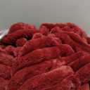 Bedsure GentleSoft Brick Dust Fleece Blanket for Couch - Cozy Soft Blankets for Women, Cute Small Throws for Girls, 50x70 Inches