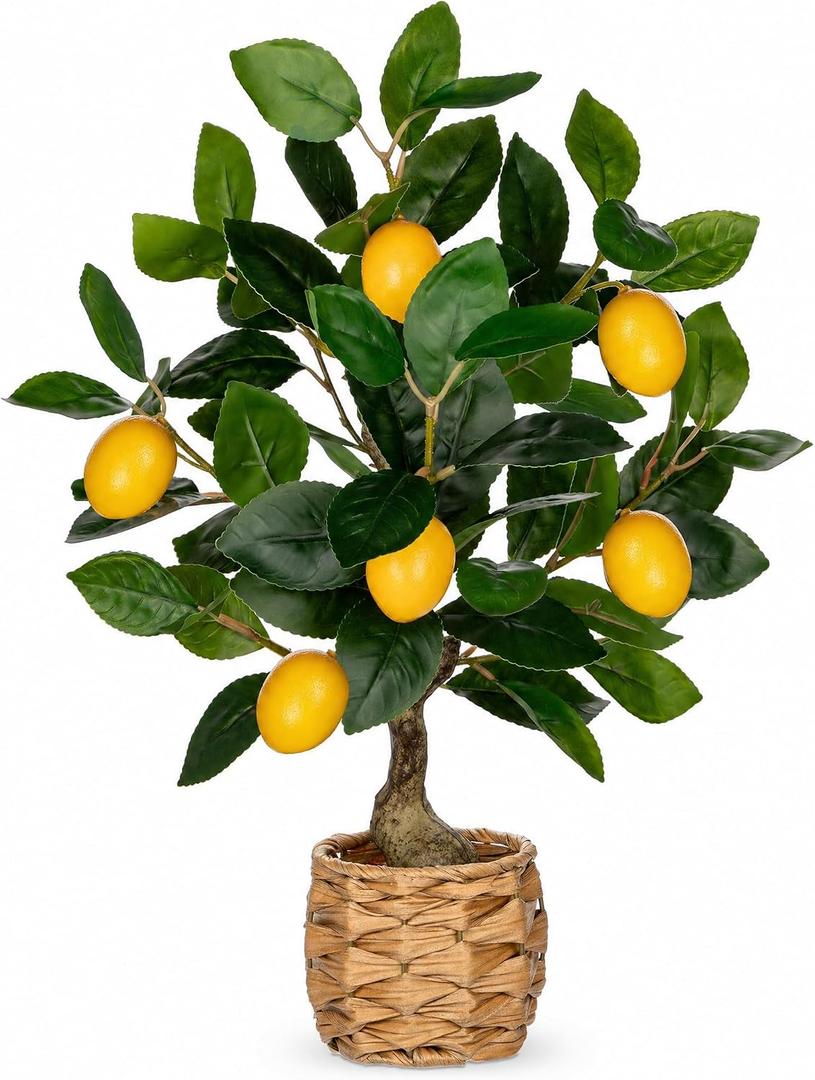Oairse Artificial Potted Plants 17.3 inches Small Fake Lemon Tree Artificial Lemons Citrus Tree with Woven Pot Faux Plants Indoor Lemon Decorations for Home,Office, Living Room Table, Desk