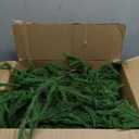 Artificial Real Touch Deluxe Norfolk Pine Garland Christmas Garland for Mantle Garland Greenery Christmas Garlands 106''(1pcs)