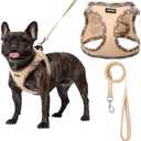 AMTOR Small Dog Harness with Leash Set, No Escape Easy Walk Puppy Harnesses for Training Walking, Step-in Reflective Soft Dogs Vest for XS S Medium Extra-Small Large Sized Dog(Beige,S)