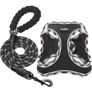 haapaw Dog Harness with Leash Set, No Pull Adjustable Reflective Step-in Puppy Harness with Thickened Padded Vest for Extra-Small/Small Medium Dogs (Black)