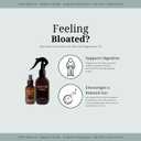 Salt Lab Magnesium Oil Spray, Travel Size Topical Magnesium Spray for Adults, Gift for Relaxation, Supports Restful Sleep, Lightweight, Easy to Apply & Quick Drying, Fragrance Free, 3.4 Fl Oz, 1 Pack