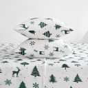 Viviland Plush Christmas Holiday Micro Fleece Queen Bed Sheet Set, Soft Fuzzy Polar Fleece Velour Velvet White Deer Snowflake Printed Sheets, Extra Warm Winter Fleece Bed Sheets