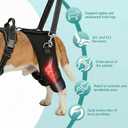 Dog Hip Support Brace-Adjustable Dog Leg Brace for Back Leg with Lift Strap for Hip Dysplasia Arthritis Pain Relief, Dog Hip Dysplasia Brace for Medium Large Senior Dogs(XXL)