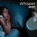 Everlasting Comfort 2.5L Top Fill Humidifiers for Bedroom, 2.5L - Quiet Easy to Fill & Clean, 24HR Runtime, Night Lights, Timer, Ultrasonic Cool Mist Humidifier, Auto Shut-Off, Essential Oil Diffuser (White)