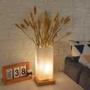 Vase Lamp Table Lamp Dimmable 3 Colors Vase Table Lamp USB Charge Bedside Lamp Frosted Glass Shade with Wood Base