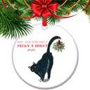 Hope Your Christmas is Meowy & Bright - 2025 Black Cat Christmas Ornament, Funny Feline Holiday Decor, Cute Kitty Gift for Cat Lovers, Whisker Wonderland Tree Decoration (C3)