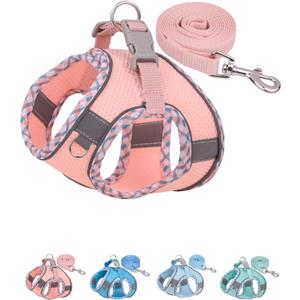 Petank Dog Harness for Small Medium Dogs No Pull, Puppy Harness and Leash Set, Step in Dog Harness for Walking, Running, Training, Small Dog Vest, Medium Dog Vest (Pink, M)