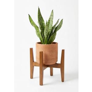 Mid-Century Modern Wooden Plant Stand – Adjustable Indoor Planter Holder