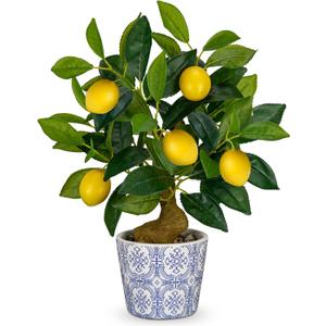 Artificial Potted Plants, 15.7 inches Small Fake Lemon Tree Artificial Lemons Citrus Tree with Blue and White Pot Faux Potted Plants Indoor Lemon Decorations for Home, Office, Living Room Table, Desk