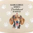 Dachshund Gifts Dog Mat for Muddy Paws, Dachshund Doormat, Dog Crate Bed Mat, Dachshunds Dog Rug, 17x29 Inch