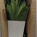 Artificial Dracaena Plant Indoor 5FT - Fake Tree with White Tall Planter - Faux Yucca Tall Fake Floor Plant in Pot - Artificial Trees for Home Office Living Room Decor Indoor