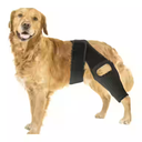 Marnonsis Dog Leg Braces for Back Leg, Adjustable Dog Knee Brace for Torn Acl Hind Leg with 4 Stabilizers, Hip Support to Reduces Pain, Ligament Injuries & Luxating Patella for Small Medium Large Dogs, L