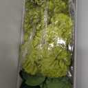 SITUMEIZI 12 Pcs Green Artificial Chrysanthemums Flowers Ball Flower Fake Mums Silk for St Patricks Day Wedding Home Kitchen Decoration Floral Arrangement Table Centerpiece