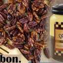 Candleberry Candles | Strong Fragrances for Home | Hand Poured in The USA | Highly Scented | 135 Hour Burn Time | Large Jar (Bourbon Roasted Pecans)